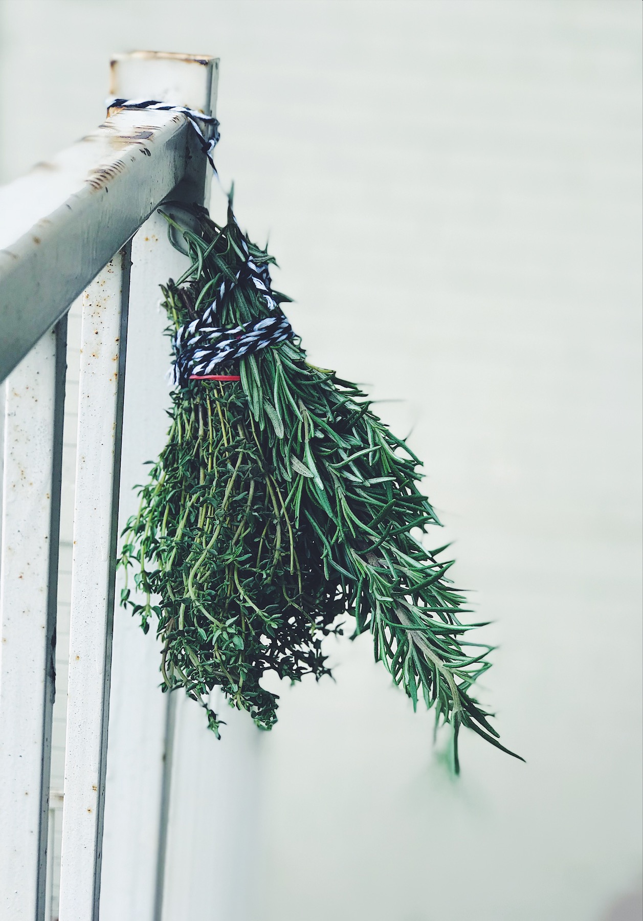 herbs hanging to dry