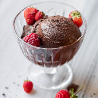 A scoop of chocolate vegan sherbet in a small glass pedestal bowl garnished with berries.