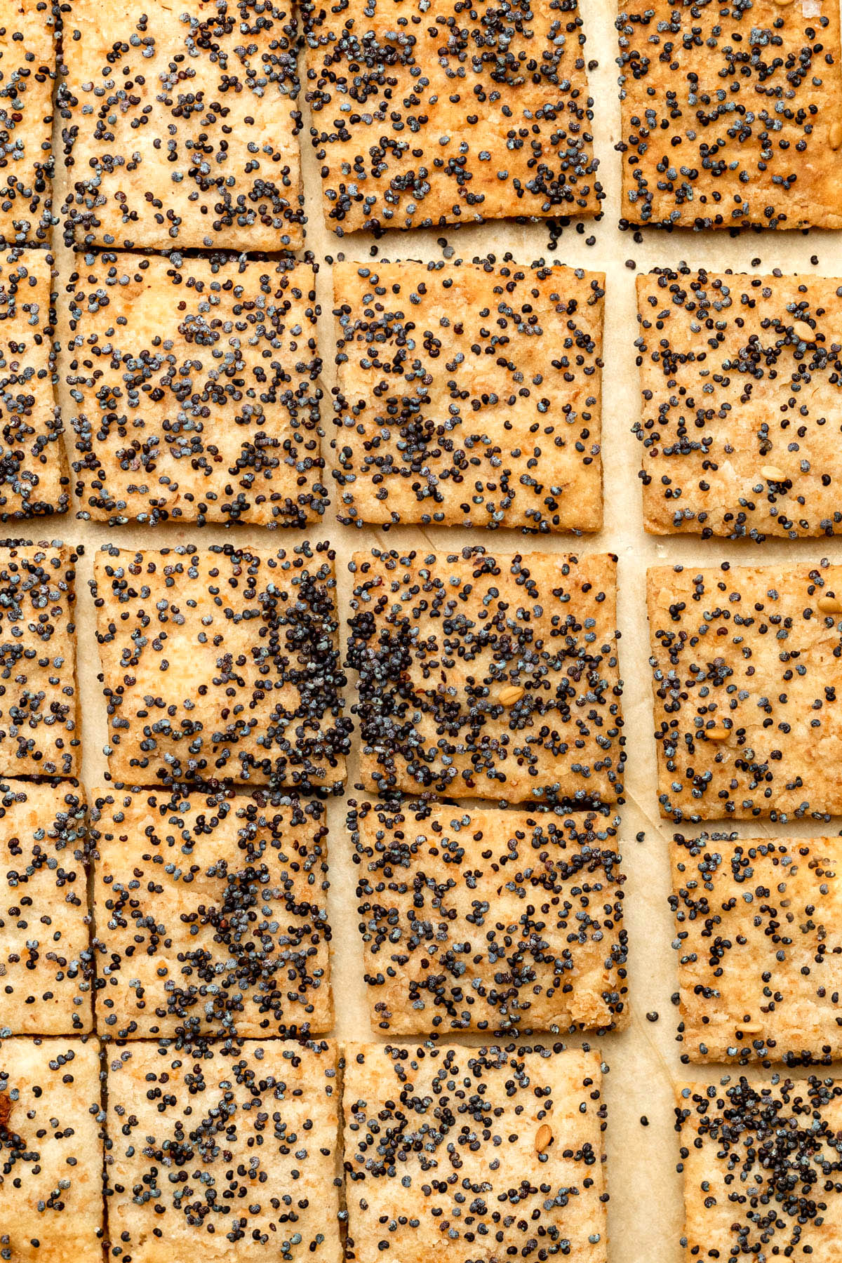 Sourdough starter discard crackers topped with poppy seeds.